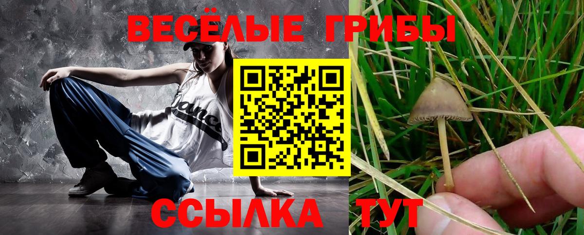 Домодедово  Галлюциногенные грибы Psilocybine cubensis  Вход с VPN  Галлюциногенные грибы мухоморы 